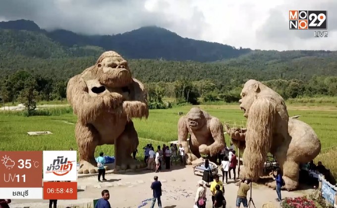 ฮือฮา หุ่นฟางคิงคองยักษ์ ใหญ่สุดในโลก