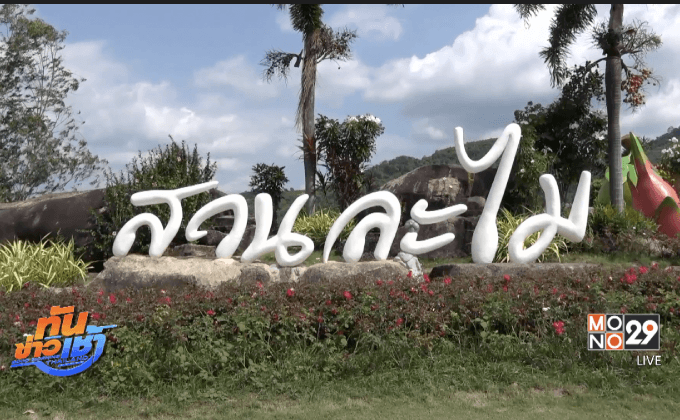 เปิดฉากฤดูเที่ยวสวนผลไม้ระยองคึกคัก 50 แห่ง