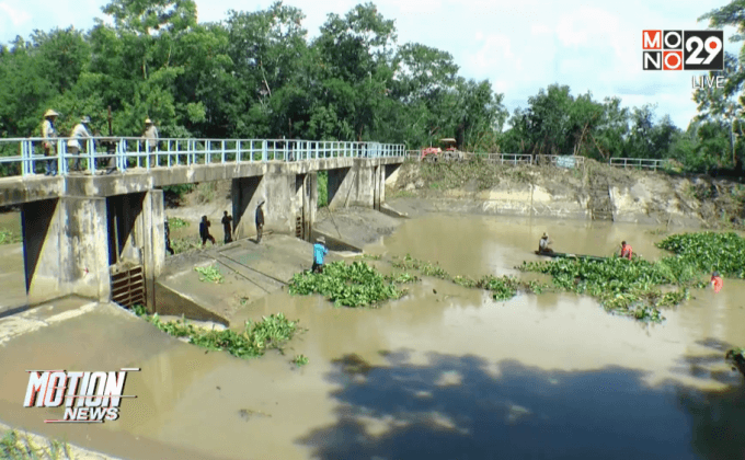 ชาวเชียงราย ร่วมขุดลอกผักตบชวาป้องกันน้ำท่วม