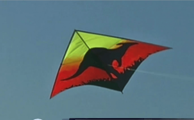 เทศกาลว่าวนานาชาติในอินเดีย