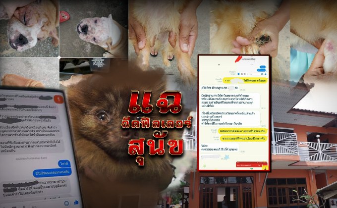 แฉ..ฉีดฟิลเลอร์สุนัข