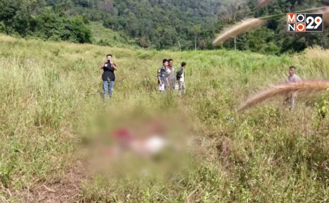 ช้างป่าไล่เหยียบชาวบ้านตาย 1 ราย จ.ตาก