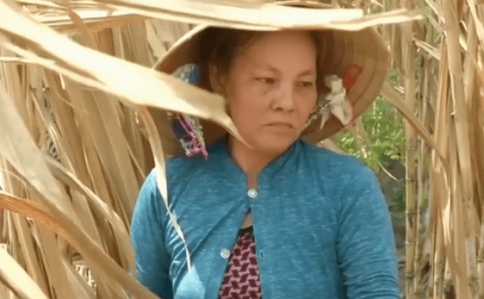 ภัยแล้ง-ปัญหาน้ำเค็มในเวียดนาม