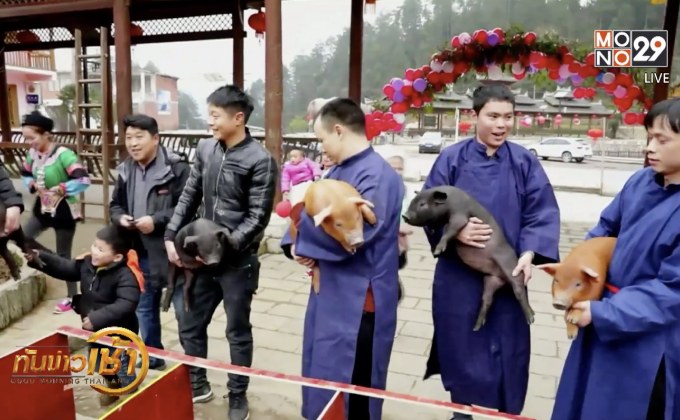 การแข่งขันวิ่งหมูในจีน