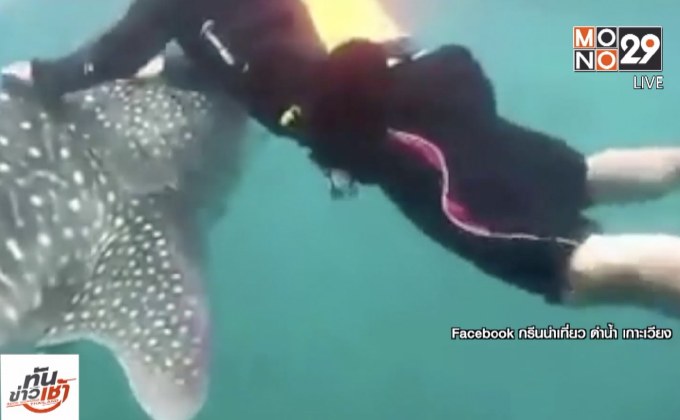 “แก๊งเจ็ตสกี” ขอโทษ เผยไม่รู้ห้ามขี่ฉลามวาฬ