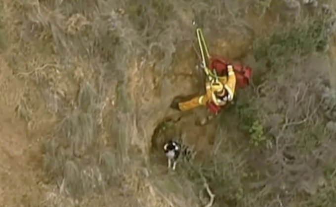 ภารกิจช่วยเหลือ“จิมมี่”สุนัขติดหน้าผา