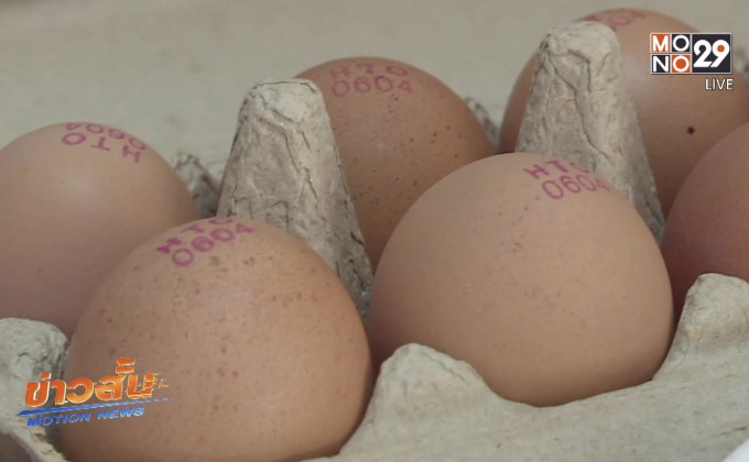 รมว.เกษตรฯ หารือ บริษัทยักษ์ใหญ่อุ้มราคาไข่ไก่