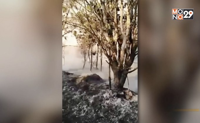 ไฟป่าภูกระดึง ทำเสียหายกว่า 3,400 ไร่