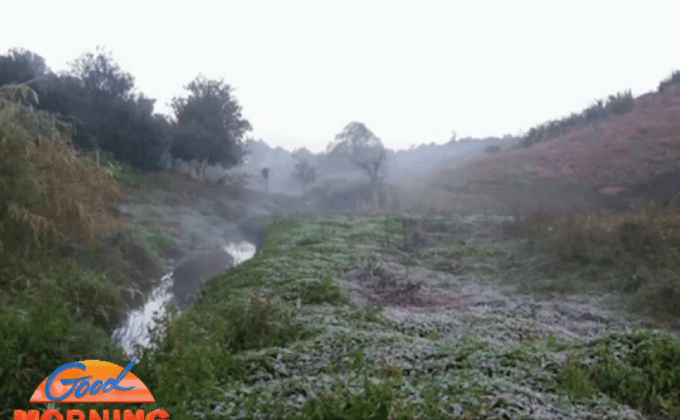 แม่คะนิ้งขาวโพลนทั่วภูหินร่องกล้า หนาวติดลบ 4 องศาฯ